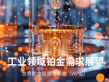 工业领域未来铂金需求展望 -世界铂金投资理事会（WPIC）